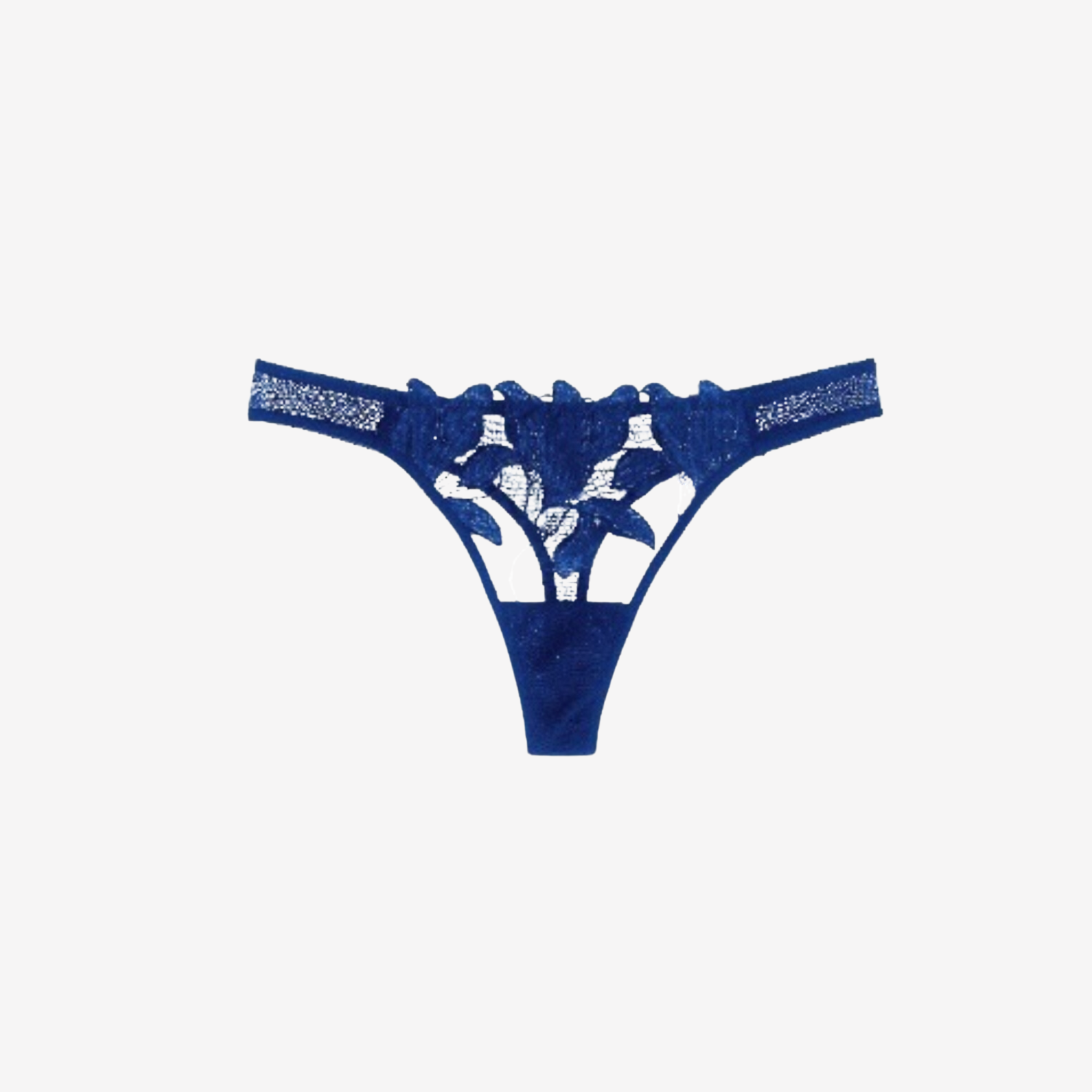 Luxury sapphire blue lace thong with floral embroidery, cut-out details, and a seamless, elegant fit.