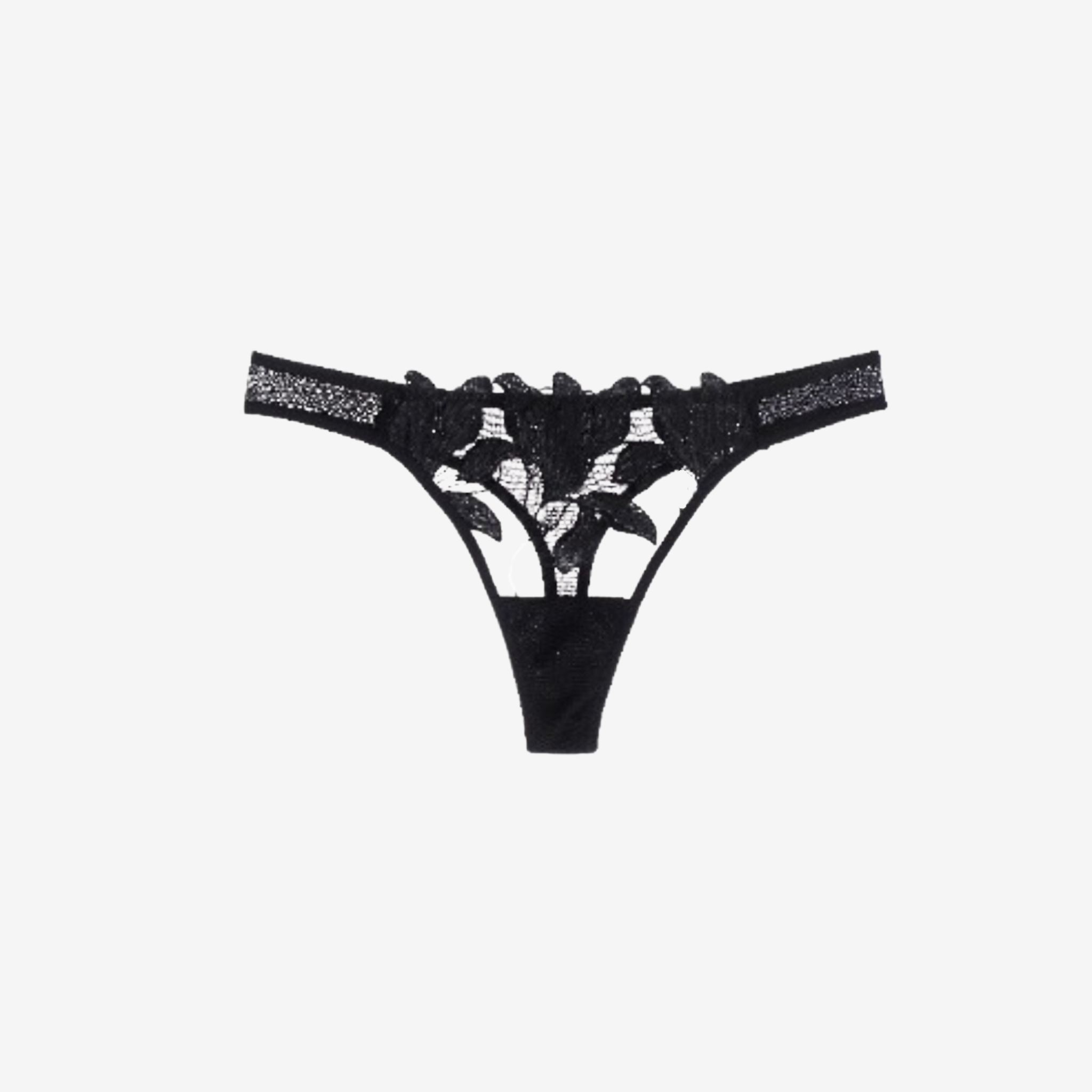 Exotique Black Embroidery Hipster Thong with Sheer Lace and Scalloped Edges – Intyra Lingerie