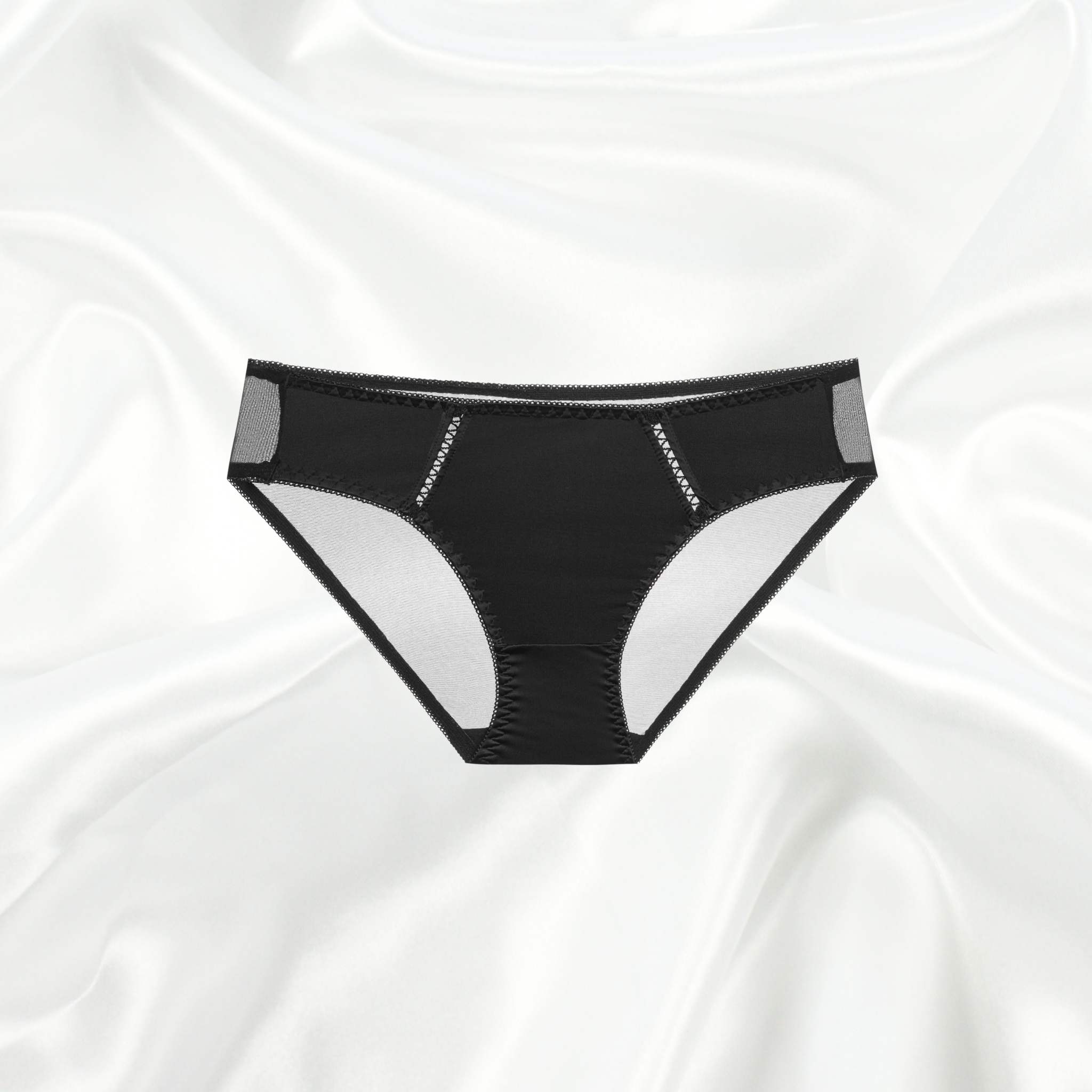 Black Bikini Brief – Elegant Sheer Mesh Lingerie