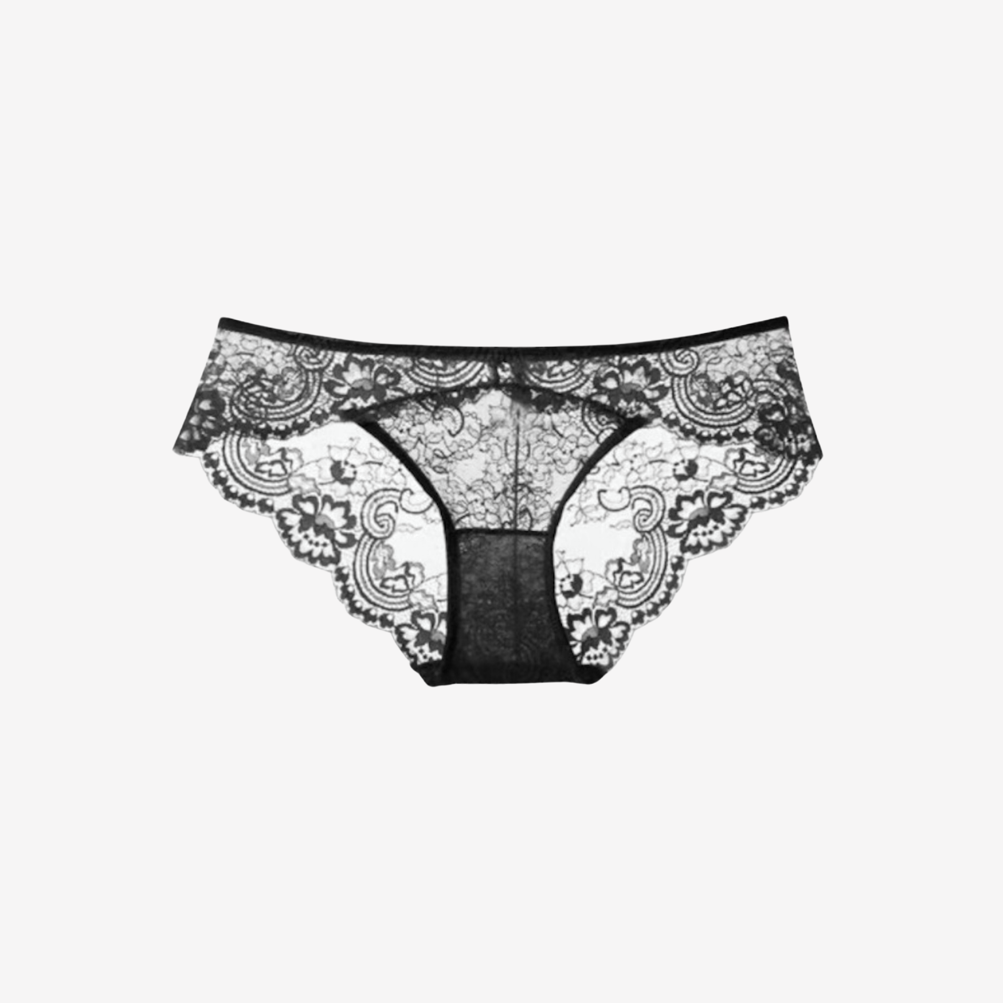 Luxury Brazilian brief with intricate floral embroidery and scalloped edges.