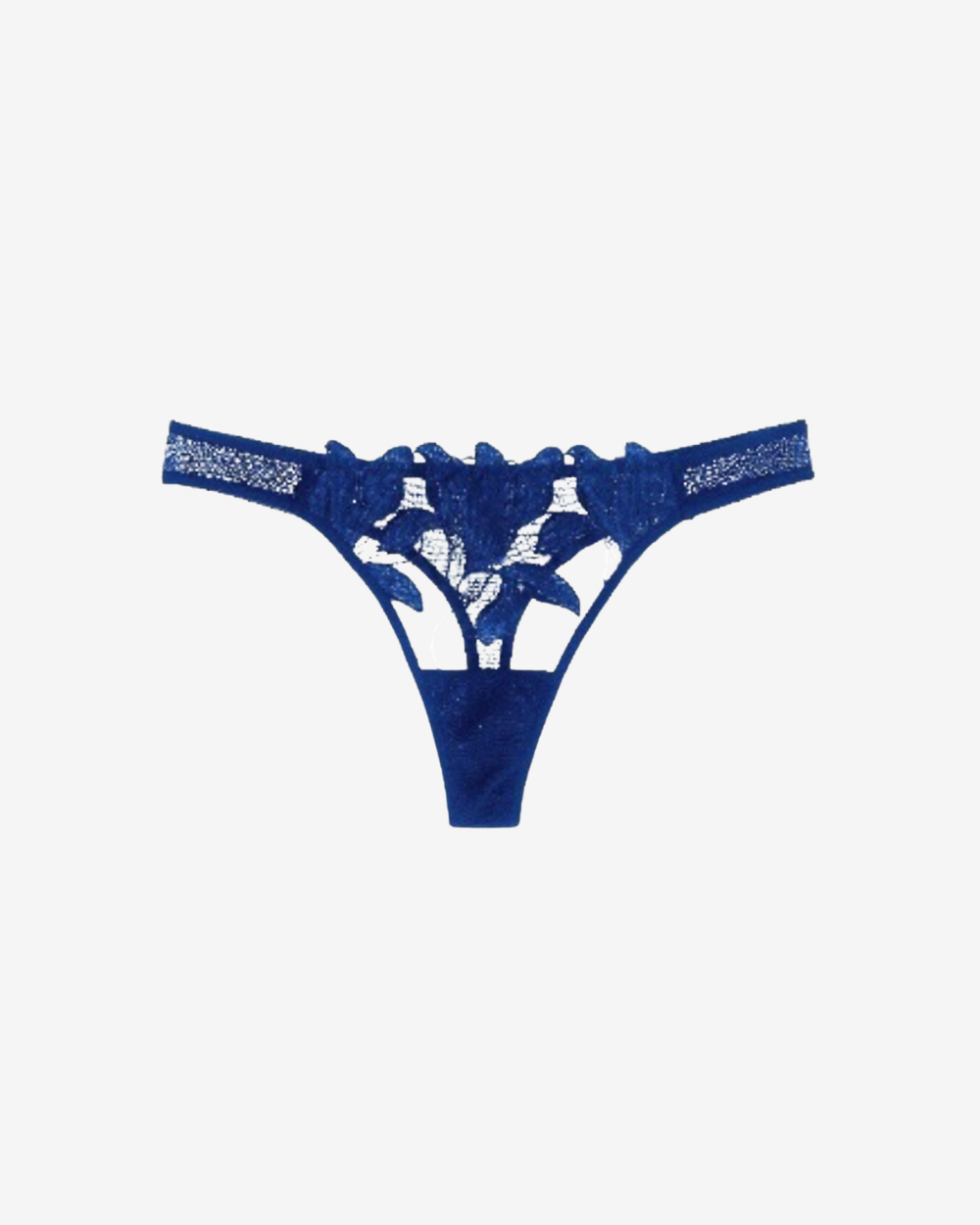 Celeste Azure Hipster Thong featuring floral embroidery and sheer midnight blue mesh on a white background.