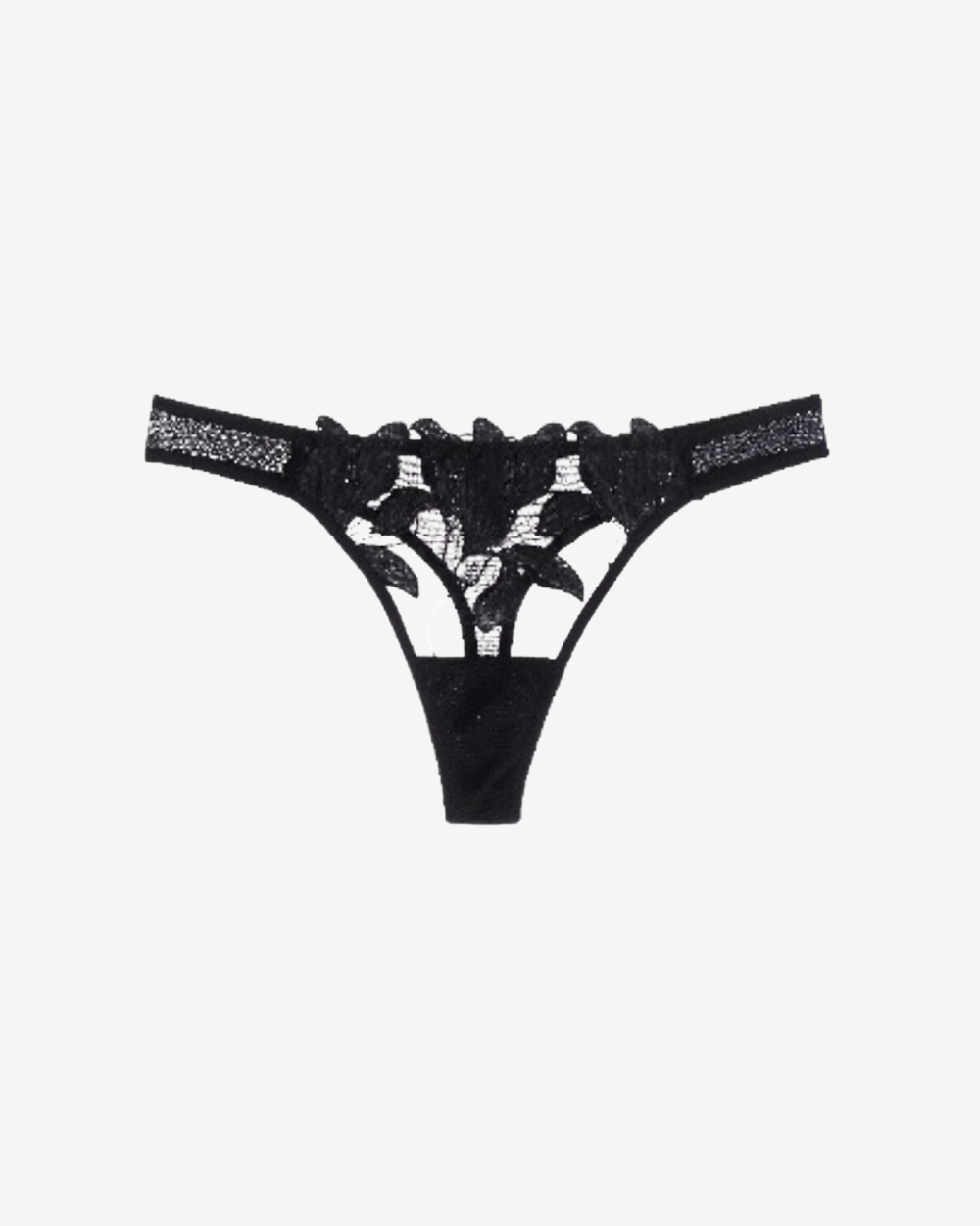 Exotique Black Hipster Thong featuring floral embroidery and sheer black lace detailing on a white background.