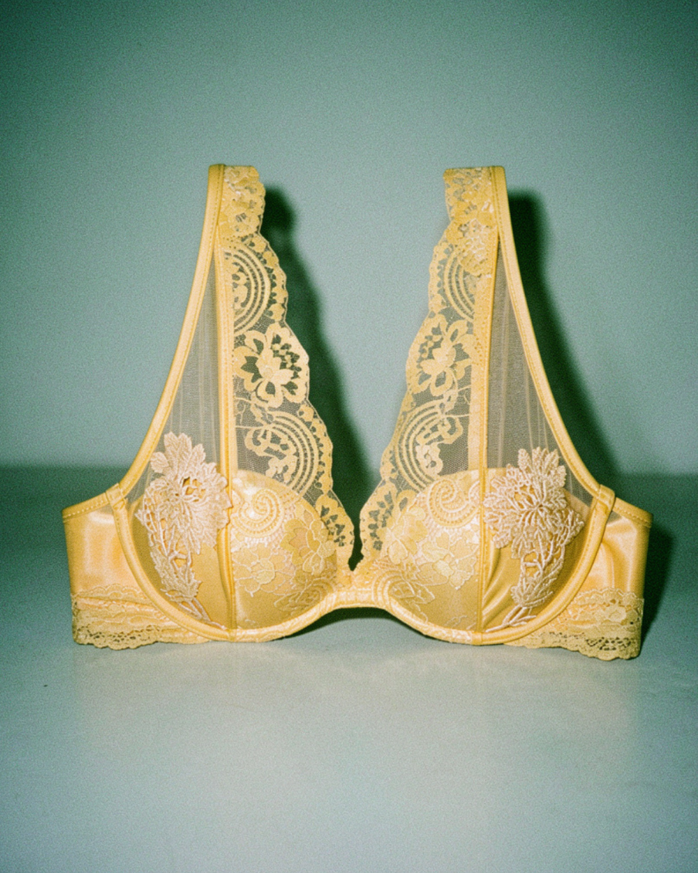 Close-up of intricate floral lace embroidery on the Intyra Golden Veil Lace Bralette.