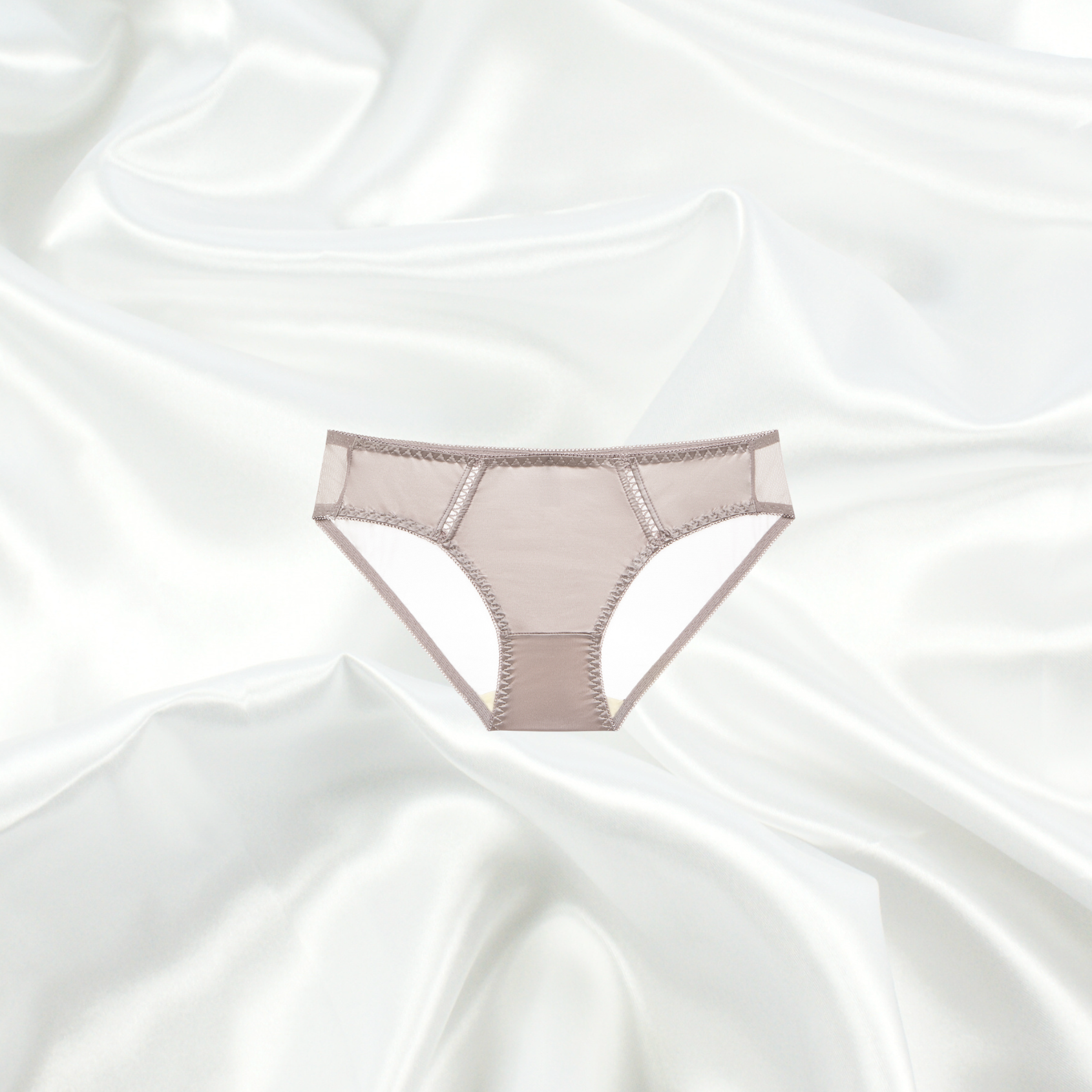 Sheer taupe bikini brief by Intyra, featuring delicate mesh panels, intricate stitching, and a luxurious design